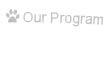 Program